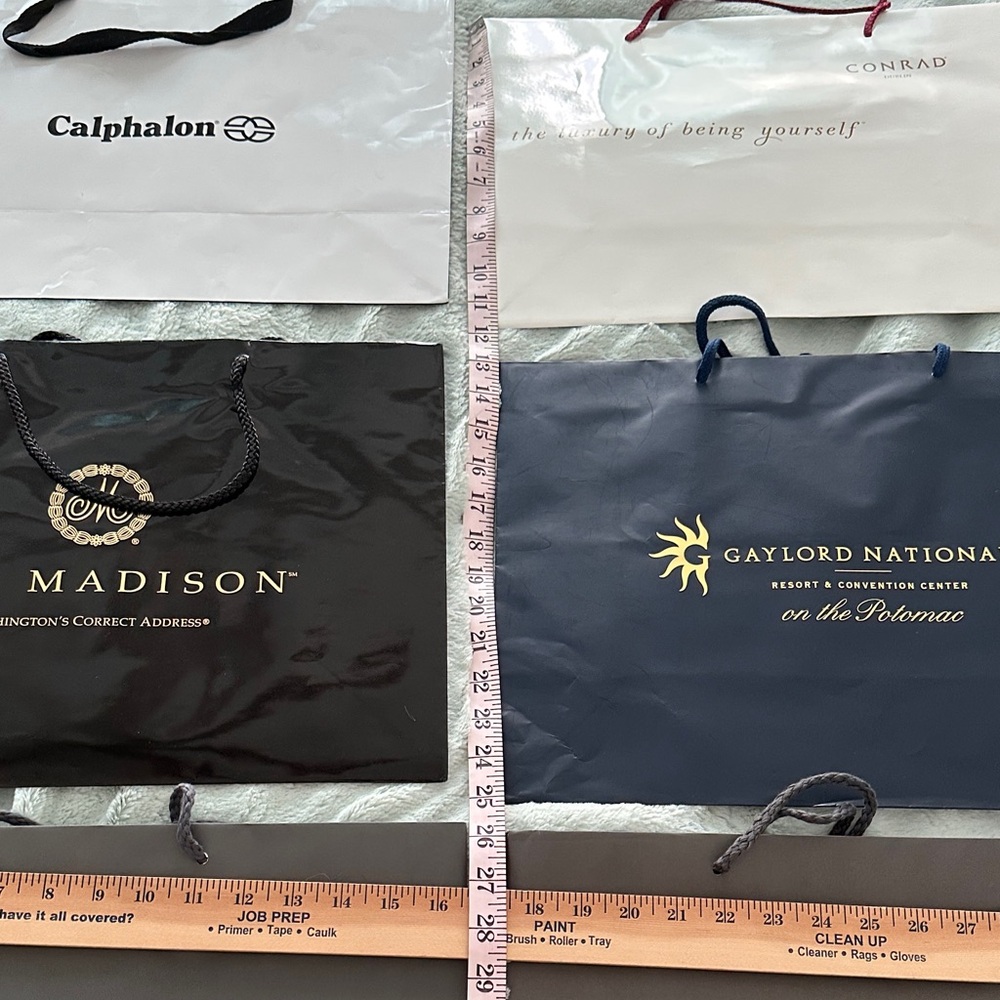 8 Assorted Empty Designer Shopping Bags - Picture 7 of 11